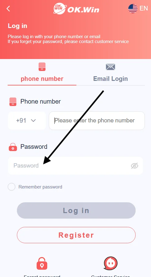 Enter your account password on the login page